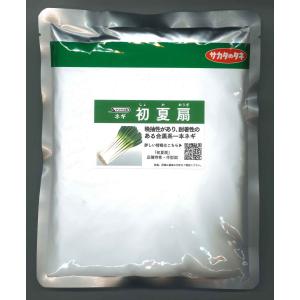 TOHOKU SEED ネギ種子 5千粒入り　3袋 ねぎ 羽緑一本太葱ペレット種子 5000粒 （株）トーホク : グリーン