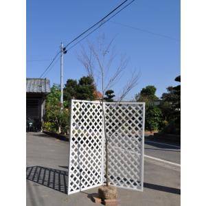 アカシデ 単木 1.7m 露地 苗木｜green-netbox
