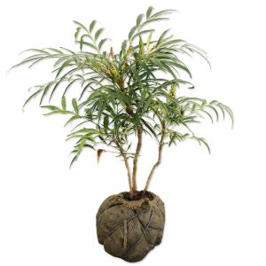 Darwin’s Grip ダーウィンズグリップ 草刈り 芝刈り トリマー Amazon | Darwin's Grip ダーウィンズグリップ 草刈り 芝刈り グリップ