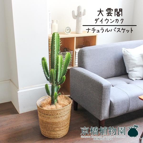 【ナチュラルバスケット鉢カバー】大雲閣（ダイウンカク） 7号【受け皿付】