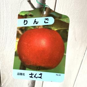 リンゴ 花粉の商品一覧 通販 Yahoo ショッピング