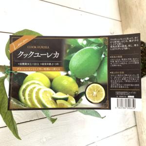 レモン スイートレモネード【果樹苗 2年生 接木苗 15cmポット
