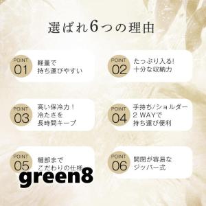 保冷バッグ 保温バッグ クーラーバッグ 22L...の詳細画像5