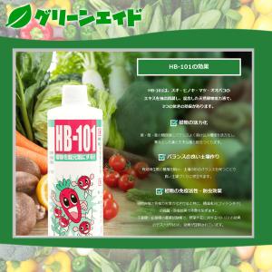 天然植物活力液 HB-101 1000倍希釈活...の詳細画像1
