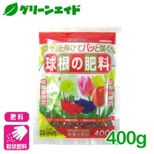 球根 肥料 球根の肥料 400g 花ごころ チューリップ ユリ ガーデニング 園芸 ビギナー向け 初心者向け
