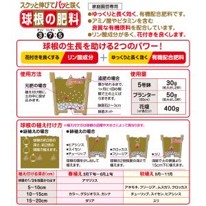 球根 肥料 球根の肥料 400g 花ごころ チ...の詳細画像1