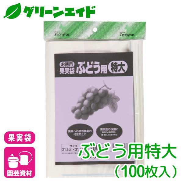 ブドウ 果実袋 果樹袋 ぶどう用特大 100枚入 マツモト 果樹 保護袋 園芸