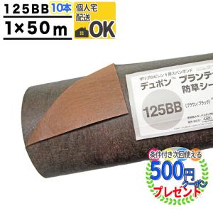 DuPont（デュポン） 防草シート プランテックス 125 2m×50m 100平米
