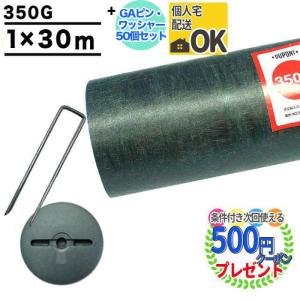 防草シート コンクリート用ビスセット CT-BW200 200本 GF グリーン