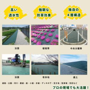 防草シート ザバーン 240 2m×30m 6...の詳細画像5