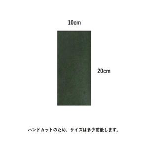 【選べる3種サンプル】GreenArts防草シ...の詳細画像3