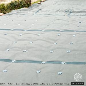 防草シート ピン 固定 30cm 50本 セッ...の詳細画像3