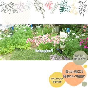 クーポン付★ プリンセスフラワーマット ヒメイ...の詳細画像2