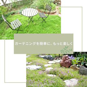 クーポン付★ プリンセスフラワーマット ヒメイ...の詳細画像3