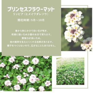 クーポン付★ プリンセスフラワーマット ヒメイ...の詳細画像5