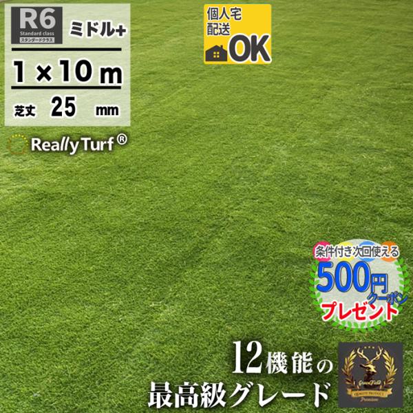 人工芝 ロール 1m×10m 10平米 芝丈 25mm パイル 芝生 マット リアル GF リアリー...