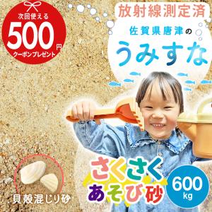 砂 NITTOSEKKO 九州佐賀県産の海砂（うみすな）600kg 遊び場 砂場 砂遊び おままごと 災害に備える！土のう袋30枚付き 【P変】｜greenarts-online