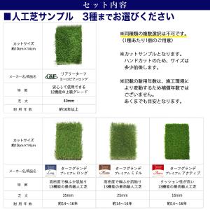 [人工芝選べる3種サンプル] 人工芝リアリータ...の詳細画像2