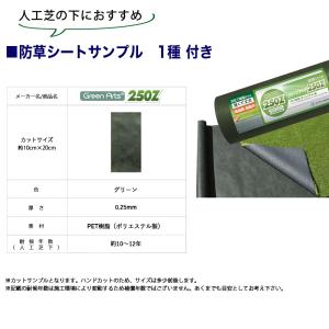 [人工芝選べる3種サンプル] 人工芝リアリータ...の詳細画像3