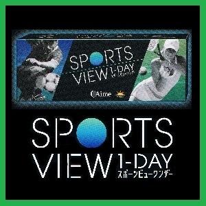 コンタクト スポーツ　ビュー　ワンデー アイミー 30枚入 １２箱セット