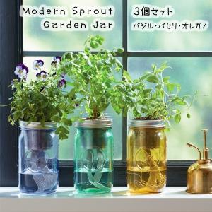 珍しい 3個セット 水耕栽培 キット モダンスプラウト ガーデンジャー バジル パセリ オレガノ Modern Sprout 種 種子 ギフト 栽培キット ハーブ Www Certificadodigitaldf Com Br