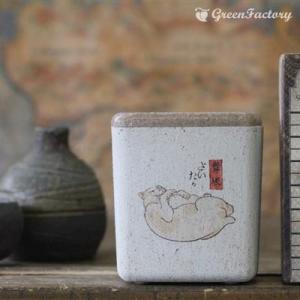 キューブM　猫飼好五十三疋　舞坂