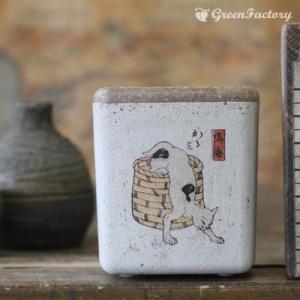 キューブM　猫飼好五十三疋　鳴海