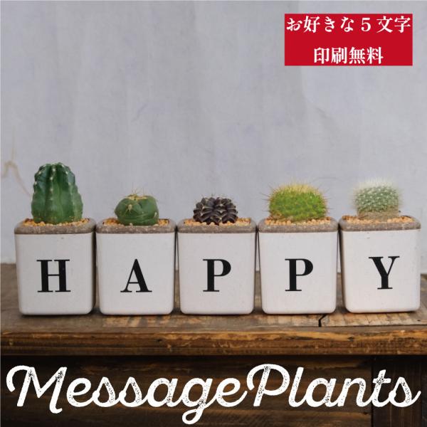 サボテン5個セット（HAPPY）