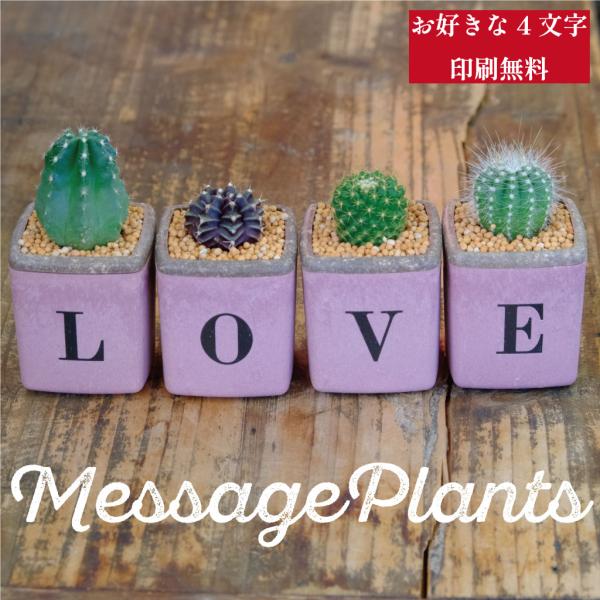 サボテン4個セット（LOVE）