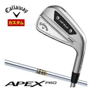 特注カスタムクラブ キャロウェイ APEX PRO アイアン 6本セット[＃5-P] ダイナミックゴールド シャフト｜greenfil-wear