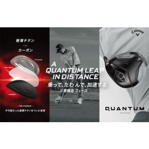 34%OFFクーポン対象 特注カスタムクラブ ...の詳細画像1
