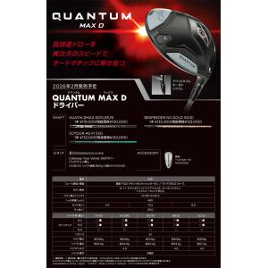 34%OFFクーポン対象 特注カスタムクラブ ...の詳細画像5