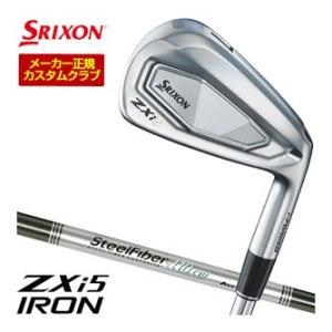 Mizuno Pro518アイアン / ミズノ番手 : 6〜PW (5本セット) アイアン 6本セット #5～9、PW Mizuno Pro S-1 5KJSS32906S2 [Dynamic