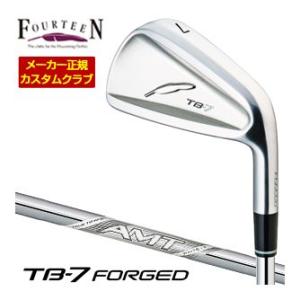 フォーティーン TB-7 Forged アイアン AMT WHITE シャフト 単品[＃5、＃6、＃...