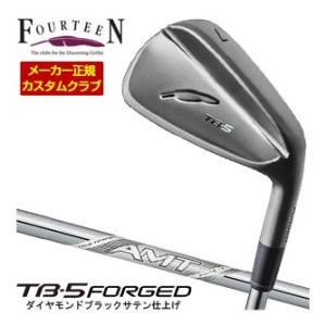 特注カスタムクラブ フォーティーン 2025NEW TB-5 FORGED アイアン ダイヤモンドブ...