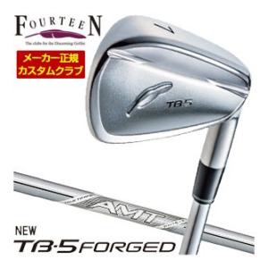 特注カスタムクラブ フォーティーン 2025NEW TB-5 FORGED アイアン AMT WHI...