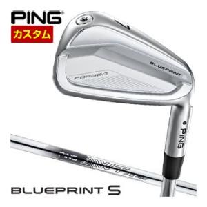 TaylorMade（テーラーメイド） 特注カスタムクラブ P770 アイアン
