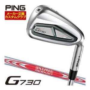 特注カスタムクラブ ピン G730 アイアン N.S.PRO MODUS3 TOUR105 シャフト...