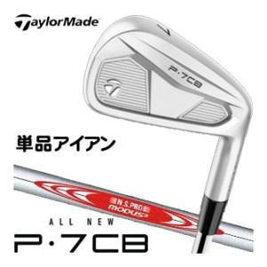 TaylorMade（テーラーメイド） 特注カスタムクラブ P7CB アイアン N.S.