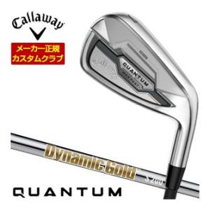 35％OFFクーポン対象 特注カスタムクラブ キャロウェイ QUANTUM MAX FAST アイア...