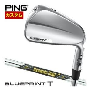 Titleist（タイトリスト） 特注カスタムクラブ T100 アイアン N.S.PRO