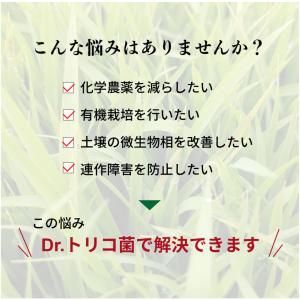 話題沸騰中!Dr.トリコ菌 7kg 3袋セット...の詳細画像3
