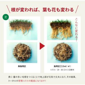 アルムグリーン 1L 有機JAS別表2適合資材...の詳細画像5