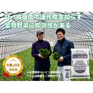 Dr.放線菌(ドクターホウセンキン)7kg 連...の詳細画像4