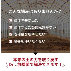 Dr.放線菌(ドクターホウセンキン)7kg 連...の詳細画像5