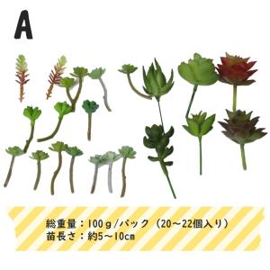 フェイクグリーン 多肉植物 カット苗 『たにく...の詳細画像1