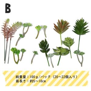 フェイクグリーン 多肉植物 カット苗 『たにく...の詳細画像2