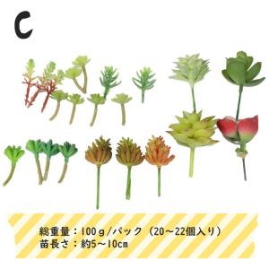 フェイクグリーン 多肉植物 カット苗 『たにく...の詳細画像3