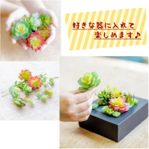フェイクグリーン 多肉植物 カット苗 『たにく...の詳細画像4