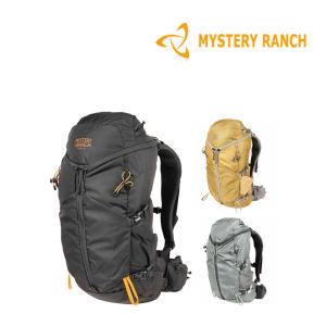 ミステリーランチ　リュック1day アサルト　USA製 廃盤品 ミステリーランチ リュック1day アサルト USA製 廃盤品 - メルカリ